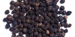 Black Pepper