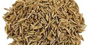 Cumin Seeds