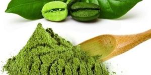 Green Coffee Bean Extract Powder