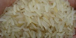 1121 Golden Sella Basmati Rice