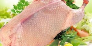 Fresh Duck Meat