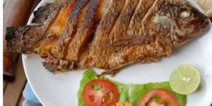Tilapia Fish