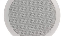 Ceiling Mount Speaker
