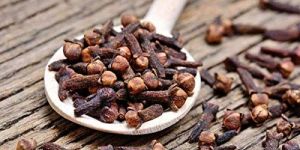 Clove Pods