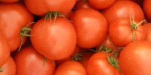 Beefsteak - Heirloom Tomatoes