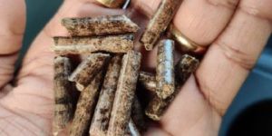 Biomass Pellet
