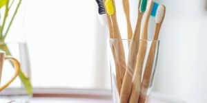 Bamboo Toothbrush with Bio-plastic Bristles