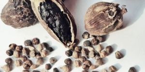Black Cardamom Pods