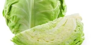 Fresh Green Cabbage