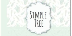 Simple Tree Aloe Vera Hair Powder