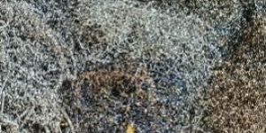 Mild Steel Turning Scrap