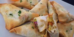 Frozen Mix Veg Samosa