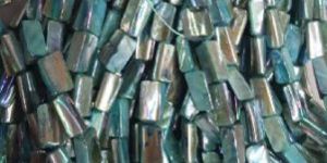 Shell Beads