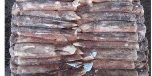 Whole Frozen Illex Squid