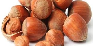 High Quality Dried Hazel Nuts