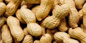 Shelled Groundnut