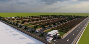 Architecture Services