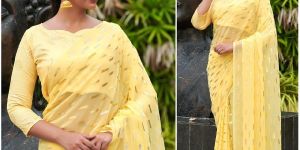 Georgette Saree with Ringa Silk with Blouse