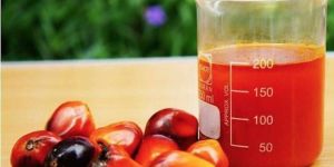 Palm Oil cp6, cp08, cp10
