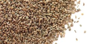 Celery Seeds