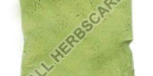 Double Filtered Art Henna