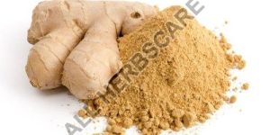 Ginger Powder