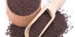 Organic Mustard Seed