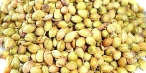Coriander Seeds