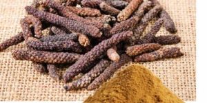 Piper Longum Extract