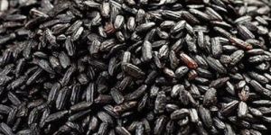 Black Rice