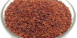 Finger Millet Seeds
