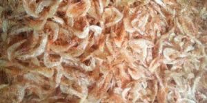 Dried Large Shrimp