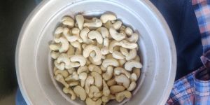 Cashew Nuts
