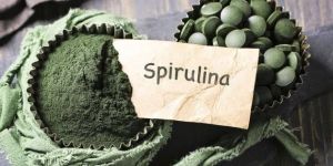 Organic Spirulina Tablets