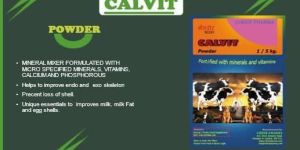 Calvit Powder