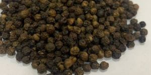 Black Pepper
