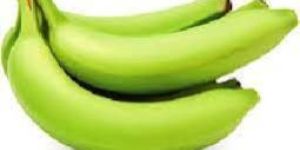 Cavendish Banana