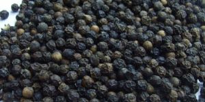 Black Pepper Seeds