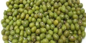 Green Mung Beans