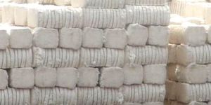 Raw Cotton