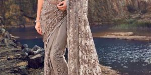 Heavy Net Saree