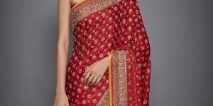 Zari Work Saree