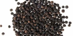 Black Peppercorns