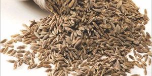 Cumin Seeds