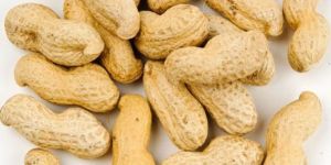Shelled Groundnuts
