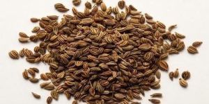 Carom Seeds