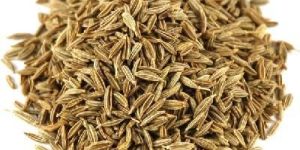 Cumin Seeds