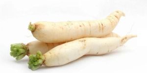 Organic Radish