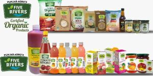 Organic Basmati Rice