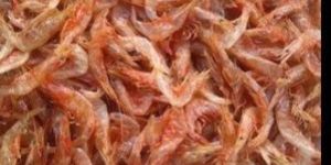 Dried Fish